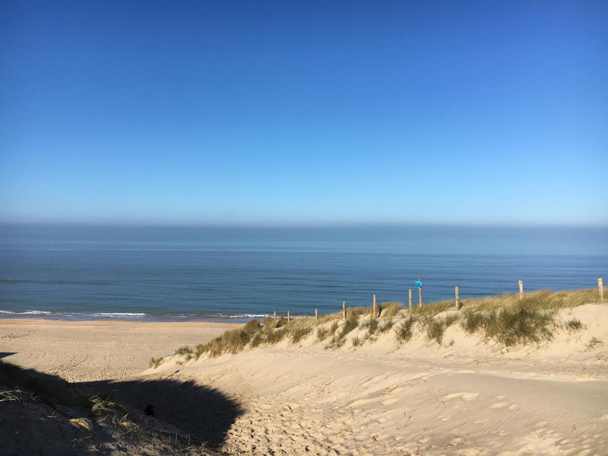 Eco Lodge Duin- Unieke Locatie -Strand, Duin En Nabij Cultuursteden Castricum Ngoại thất bức ảnh