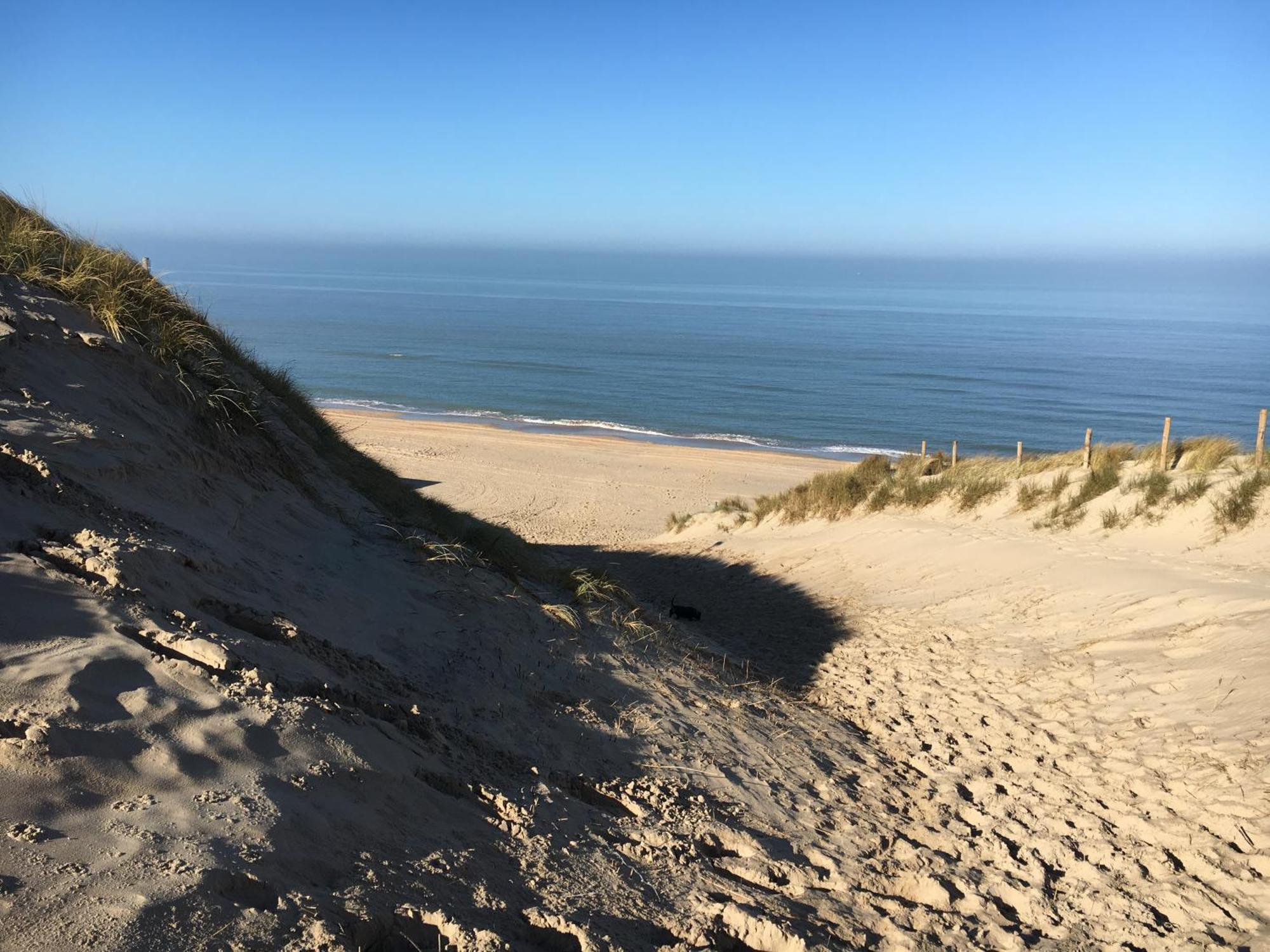 Eco Lodge Duin- Unieke Locatie -Strand, Duin En Nabij Cultuursteden Castricum Ngoại thất bức ảnh