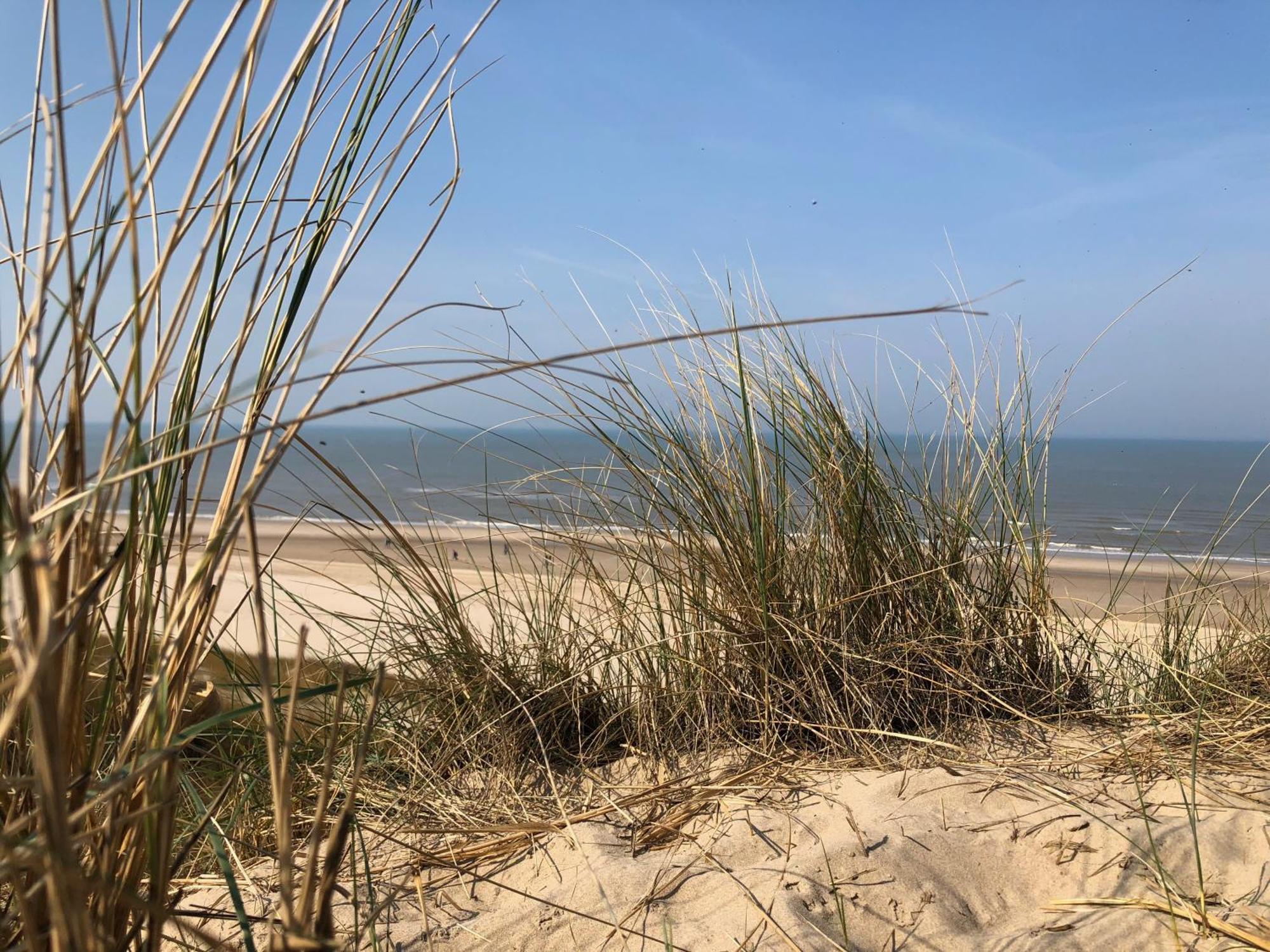 Eco Lodge Duin- Unieke Locatie -Strand, Duin En Nabij Cultuursteden Castricum Ngoại thất bức ảnh